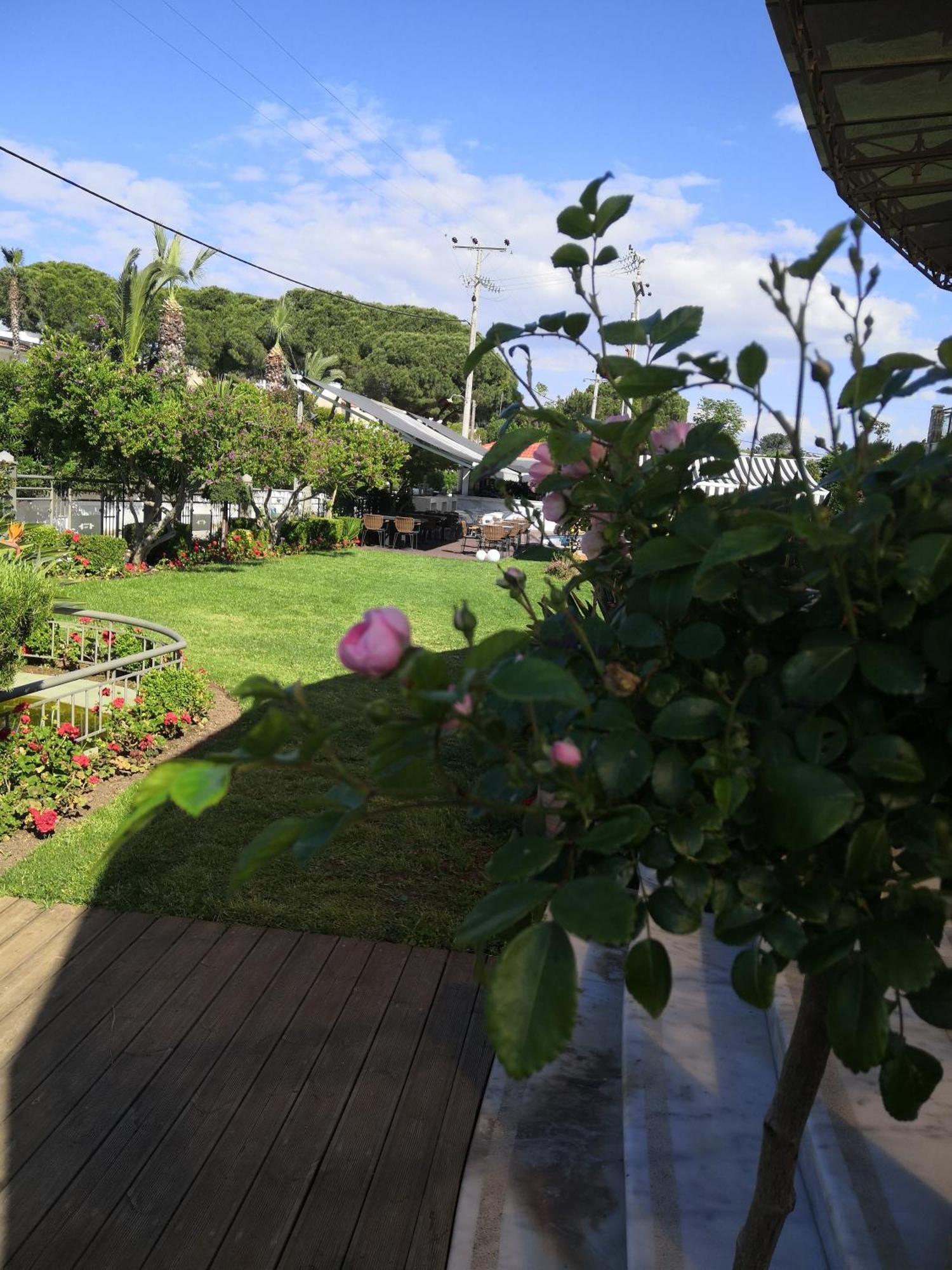 Naiades Villas Káto Achaḯa Ngoại thất bức ảnh
